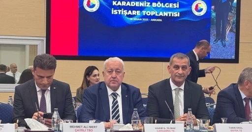 Karadeniz Bölgesi İstişare Toplantısı
