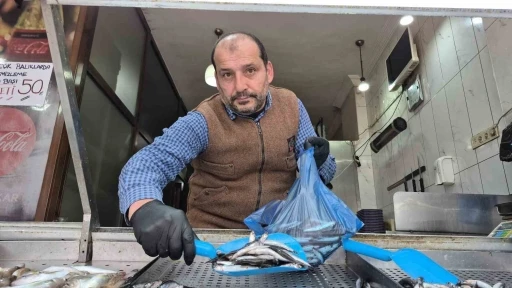 Karadeniz&rsquo;de hamsi yerini istavrite bıraktı
