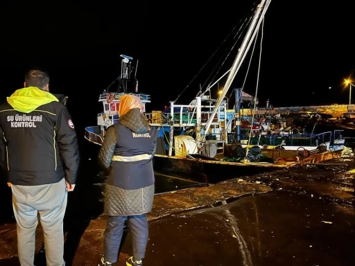 Karadeniz’de hamsi yoğunluğu devam ediyor