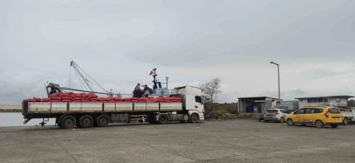 Karadeniz&rsquo;den &ccedil;ıkartılan beyaz kum midyesine sıkı denetim
