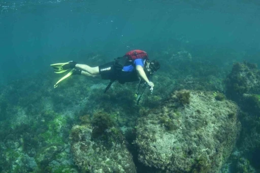 Karadeniz’in su altı güzellikleri keşfedilecek
