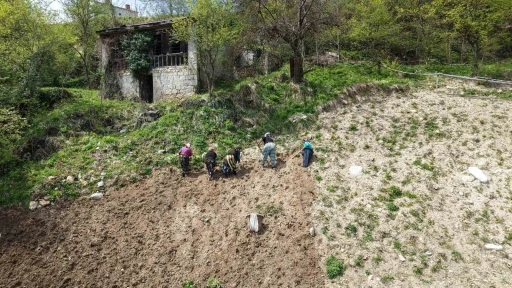 Karadeniz kadınının zorlu mesaisi başladı
