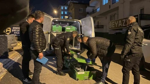 Karaman&rsquo;da gen&ccedil; kadın kaldığı apart dairede &ouml;l&uuml; bulundu
