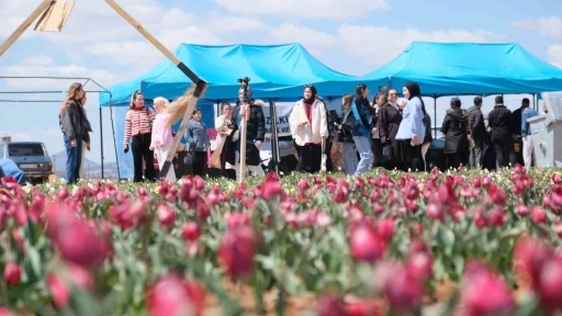 Karaman’da lale tarlasını bu yıl 200 bin kişinin ziyaret etmesi bekleniyor
