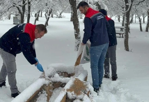 Karaman&rsquo;da yaban hayvanları ve kuşlar i&ccedil;in doğaya yem bırakıldı
