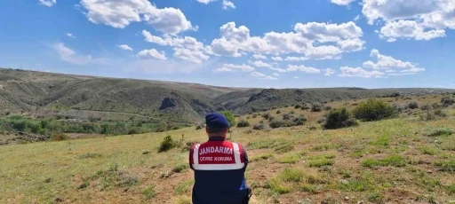 Karanlıkdere Vadisi’nde jandarmadan denetim
