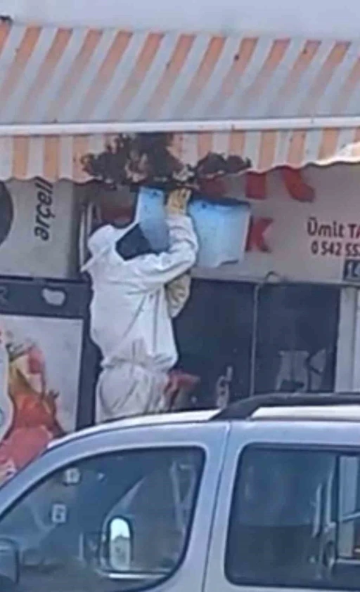 Karapınar’da arı paniği
