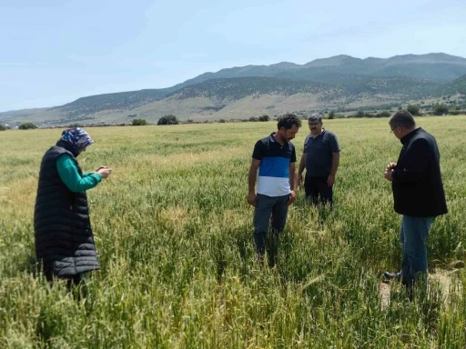 Karapınar’da dolu ve sel felaketinde etkilenen bölgelerde incelemelerde bulunuldu
