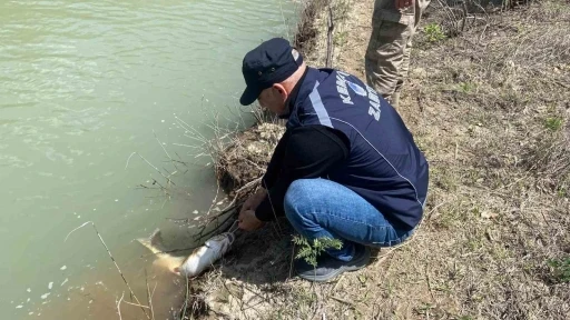 Karasu Nehri&rsquo;nde ka&ccedil;ak avcılığa karşı denetim yapıldı
