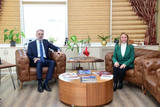 Kardeş belediyeler g&uuml;&ccedil; birliği i&ccedil;in Kestel&rsquo;de buluştu
