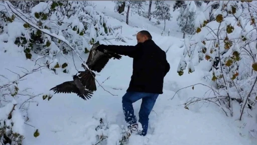Kargayı atmacanın pen&ccedil;elerinden yoldan ge&ccedil;en vatandaşlar kurtardı
