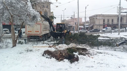 Karın ağırlığına dayanamayan ağa&ccedil;lar devrildi
