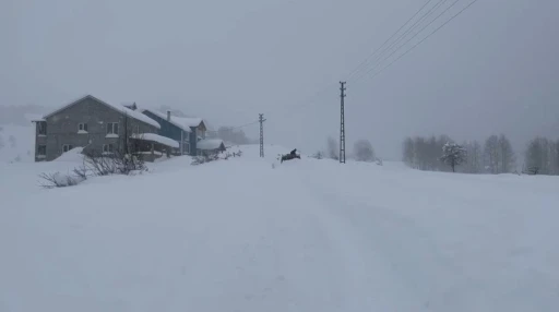 Karın tadını &ccedil;ıkarmak i&ccedil;in İstanbul&rsquo;dan Sivas&rsquo;a akın ettiler
