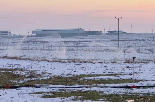 Karla kaplı arazide ka&ccedil;ak elektrikle sulama
