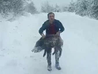 Karlı yolda domuzu elleriyle yakalayan adam konuştu: "Bir anı olsun diye yakaladım, kimseye tavsiye etmem"
