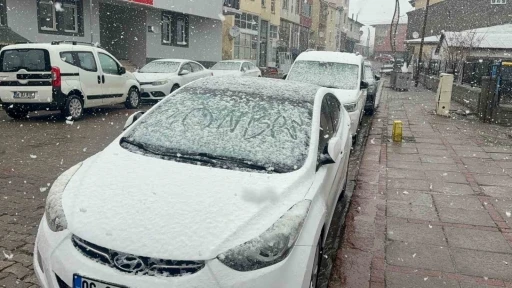 Karlıova&rsquo;da nisan karı etkili oldu
