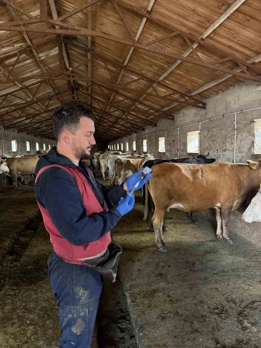 Kars’ta 150 bin doz şap aşısı yapıldı
