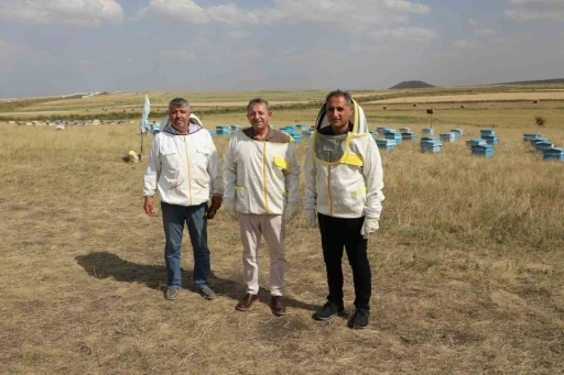 Kars’ta 2025 yılında bin 800 ton bal rekoltesi beklentisi
