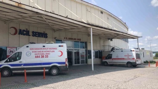 Kars’ta acemi kasaplar kendileri kesti
