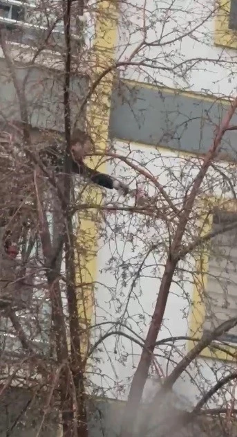 Kars&rsquo;ta ağa&ccedil;ta mahsur kalan g&uuml;vercini itfaiye ekipleri kurtardı
