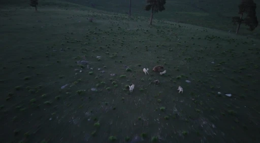 Kars&rsquo;ta boz ayı ile k&ouml;peklerin kovalamacası dron kamerasına yansıdı
