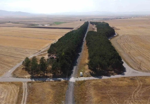 Kars’ta bozkırın ortasındaki vaha havadan görüntülendi
