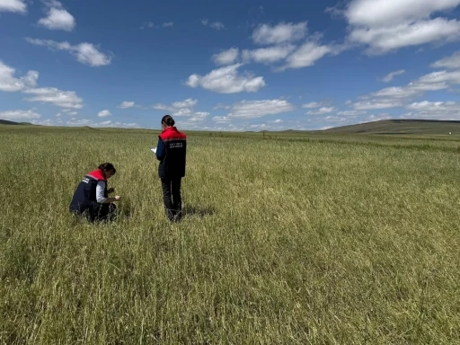 Kars&rsquo;ta doğal afet sonrası seferberlik: Tarım ekipleri hasar tespiti i&ccedil;in sahada

