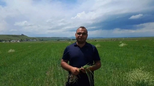 Kars’ta etkili olan dolu tarım arazilerine zarar verdi
