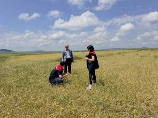 Kars&rsquo;ta fırtına ve dolu sonrası hasar tespit &ccedil;alışmaları başladı
