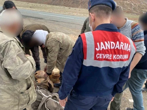 Kars’ta jandarma kaçak avcılara göz açtırmıyor
