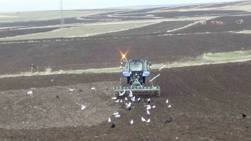 Kars&rsquo;ta kış uzadı, ekim gecikti: &Ccedil;ift&ccedil;i zamanla yarışıyor
