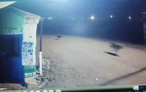 Kars&rsquo;ta kurtlar tilkiyi, k&ouml;pekler kurtları kovaladı
