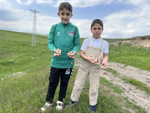 Kars&rsquo;ta mantar bereketi: &Ccedil;ocuklar doğada hem eğlendi hem topladı
