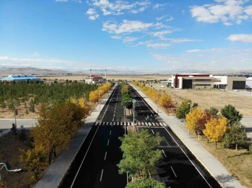 Kars’ta renk tonuna bürünen ağaçlar büyüledi
