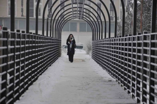 Kars&rsquo;ta soğuktan ağa&ccedil;lar kırağı tuttu

