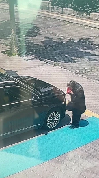 Kars&rsquo;ta yaşlı kadın makam aracındaki T&uuml;rk bayrağını &ouml;pt&uuml;
