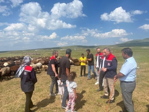 Kars&rsquo;ta yaylalarda hayvancılığa yakın takip
