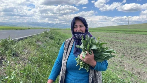 Karslı kadınların ‘evelik’ mesaisi başladı
