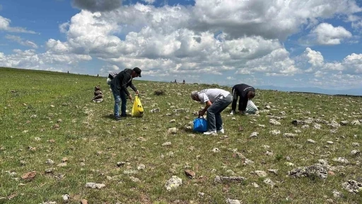 Karslılar şifalı bitkileri toplamak için dağ taş geziyor
