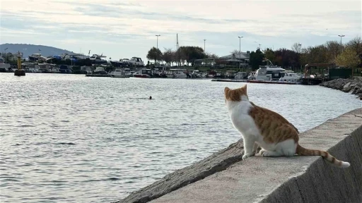 Kartal’da üşüten manzara: İki arkadaş soğukta denize girdi
