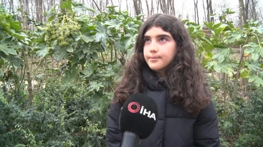 Kartepe&rsquo;deki kavganın en b&uuml;y&uuml;k mağduru &ccedil;ocuklar oldu: "Babama 5 kişi saldırdılar, kafasını ATV&rsquo;ye vurdular"
