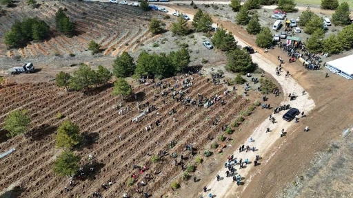 Kastamonu&rsquo;da 210 bin fidan toprakla buluşturulacak

