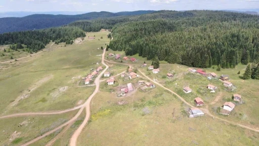 Kastamonu’da 48 kilometrelik rotada bulunan 33 yayla, korunan alan ilan edilecek
