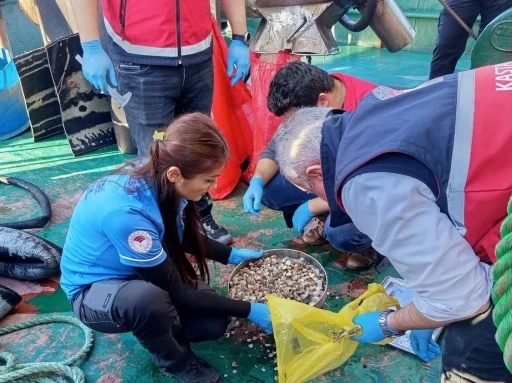 Kastamonu&rsquo;da beyaz kum midyesi avcılığına y&ouml;nelik denetimler s&uuml;r&uuml;yor
