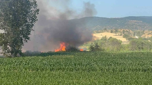 Kastamonu&rsquo;da buğday tarlası alev alev yandı
