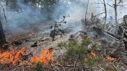 Kastamonu’da çıkan orman yangını büyümeden söndürüldü
