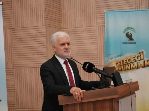 Kastamonu&rsquo;da defne &uuml;retimi 3 bin hektarın &uuml;zerine &ccedil;ıktı
