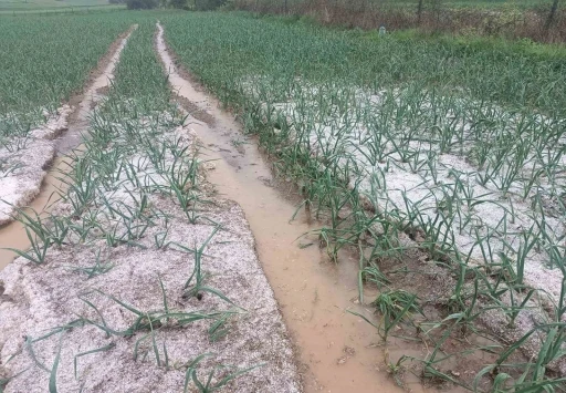 Kastamonu&rsquo;da dolu yağışı etkili oldu
