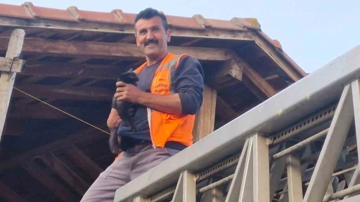 Kastamonu’da evin çatısında mahsur kalan kediyi itfaiye ekipleri kurtardı
