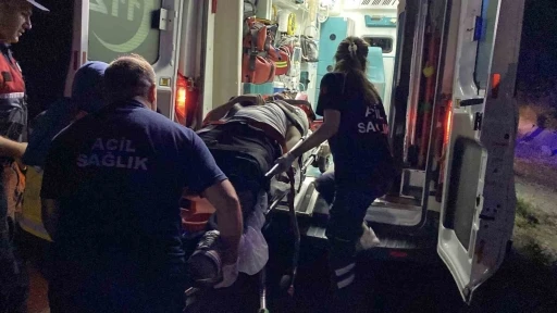 Kastamonu’da hafif ticari araç yamaca çarptı: 1 yaralı
